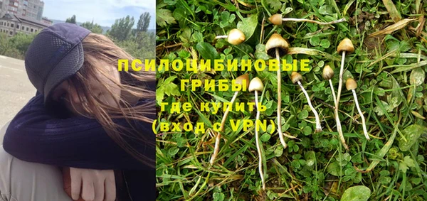 мяу мяу мука Козловка