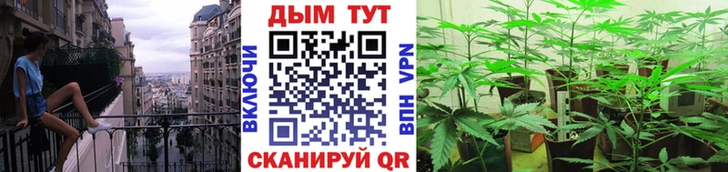 Канабис конопля  Купить  Ахтубинск 